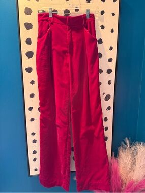 Pink Velvet Pants - Women